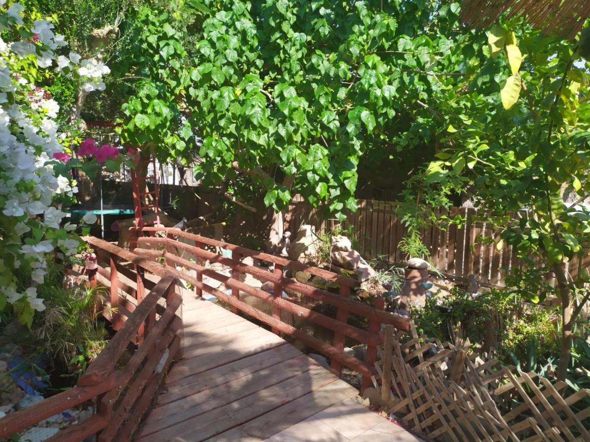 Ferienwohnung Lotus turtle garden Eilat Exterior foto