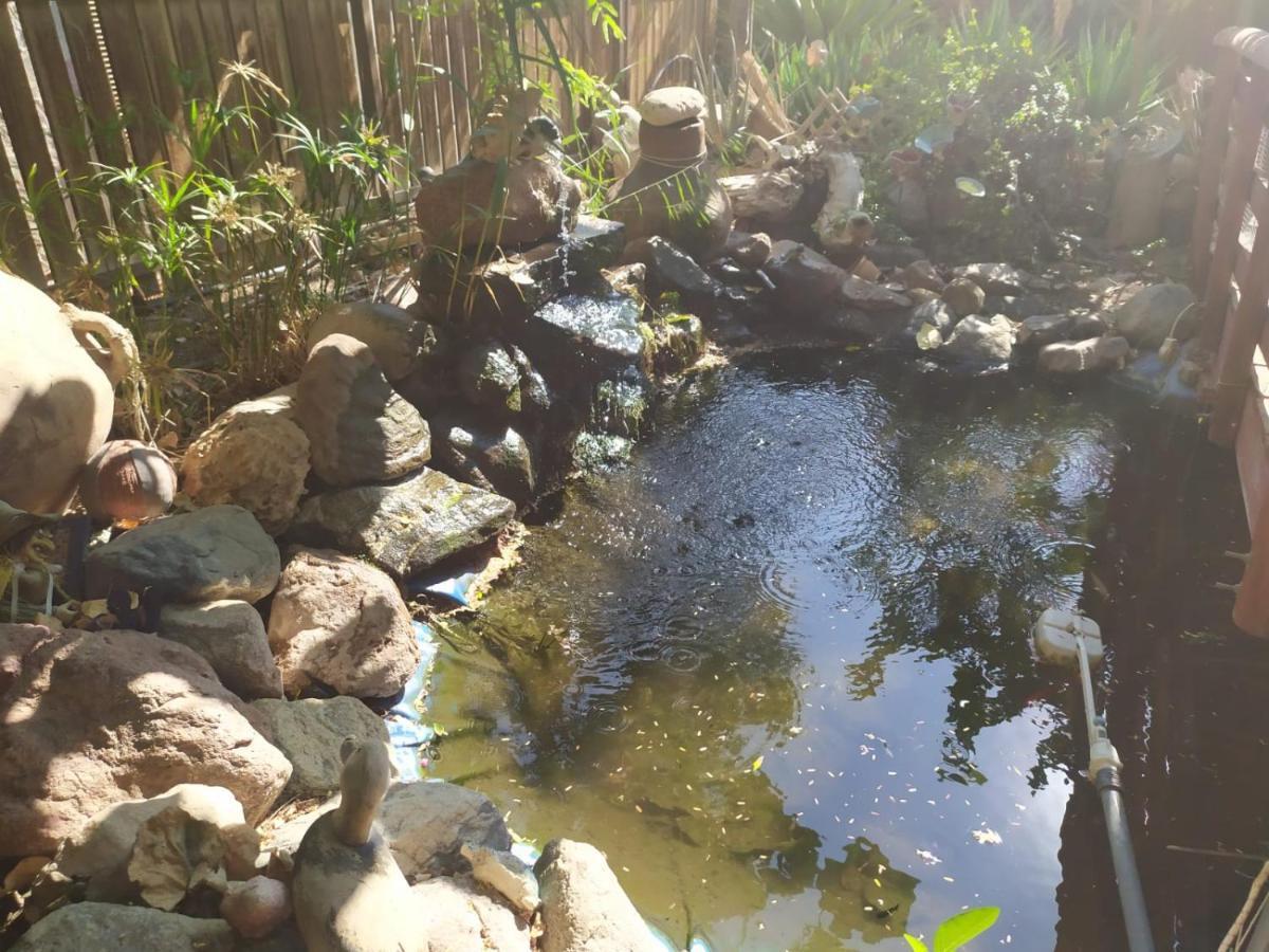 Ferienwohnung Lotus turtle garden Eilat Exterior foto