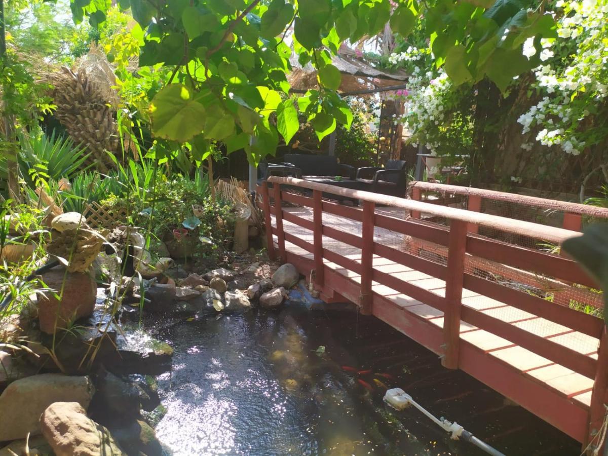 Ferienwohnung Lotus turtle garden Eilat Exterior foto